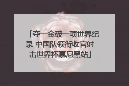 夺一金破一项世界纪录 中国队领衔收官射击世界杯慕尼黑站