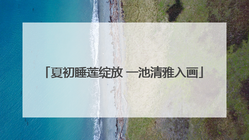 夏初睡莲绽放 一池清雅入画