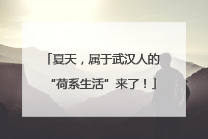 夏天，属于武汉人的“荷系生活”来了！