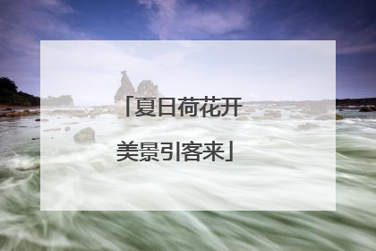 夏日荷花开 美景引客来