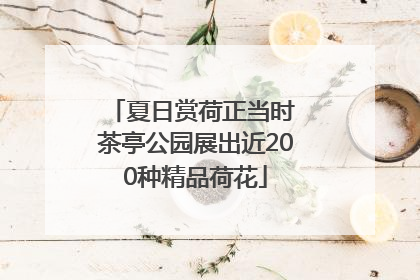 夏日赏荷正当时 茶亭公园展出近200种精品荷花