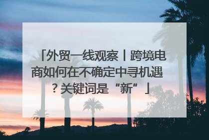外贸一线观察丨跨境电商如何在不确定中寻机遇？关键词是“新”