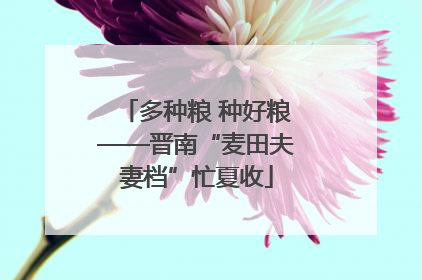 多种粮 种好粮——晋南“麦田夫妻档”忙夏收
