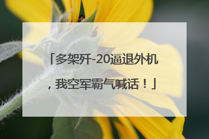 多架歼-20逼退外机，我空军霸气喊话！