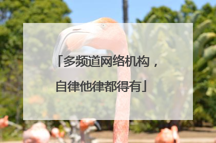 多频道网络机构，自律他律都得有