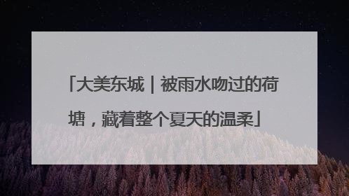 大美东城｜被雨水吻过的荷塘，藏着整个夏天的温柔