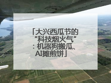 大兴西瓜节的“科技烟火气”：机器狗搬瓜、AI摊煎饼