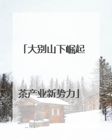 大别山下崛起茶产业新势力
