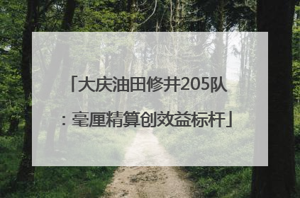 大庆油田修井205队：毫厘精算创效益标杆
