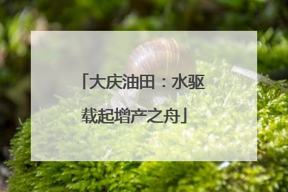 大庆油田：水驱载起增产之舟