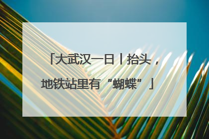 大武汉一日丨抬头，地铁站里有“蝴蝶”