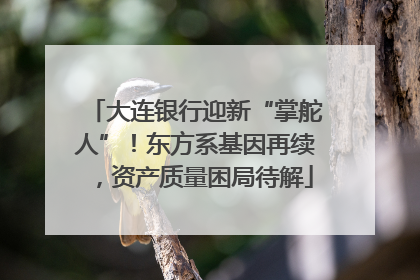 大连银行迎新“掌舵人”！东方系基因再续，资产质量困局待解