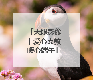 天眼影像｜爱心支教暖心端午