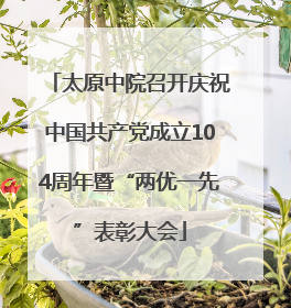 太原中院召开庆祝中国共产党成立104周年暨“两优一先”表彰大会