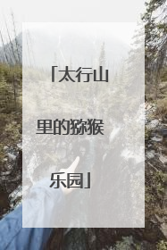 太行山里的猕猴乐园