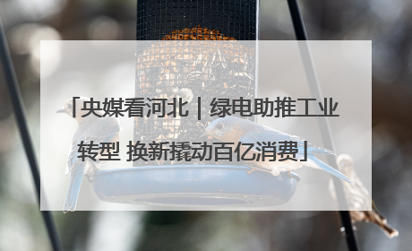 央媒看河北｜绿电助推工业转型 换新撬动百亿消费