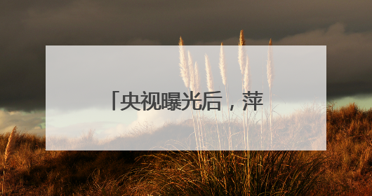 央视曝光后，萍乡市委书记实地督导垃圾专项整治