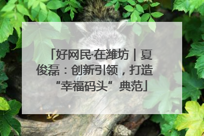 好网民·在潍坊｜夏俊磊：创新引领，打造“幸福码头”典范