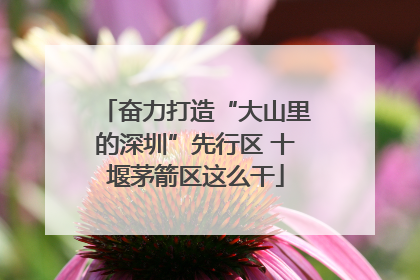 奋力打造“大山里的深圳”先行区 十堰茅箭区这么干