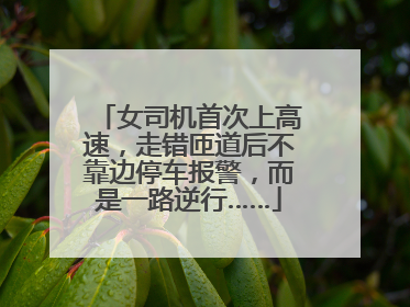 女司机首次上高速，走错匝道后不靠边停车报警，而是一路逆行……