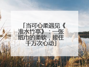 当可心柔遇见《淮水竹亭》：一张纸巾的柔软，接住千万次心动