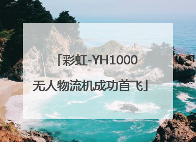 彩虹-YH1000无人物流机成功首飞