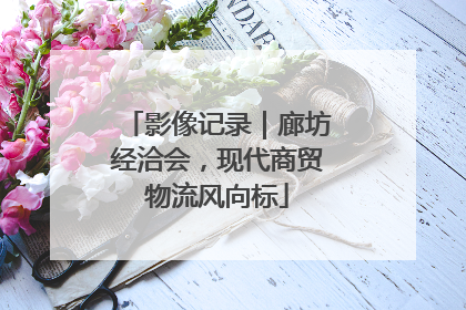 影像记录｜廊坊经洽会，现代商贸物流风向标