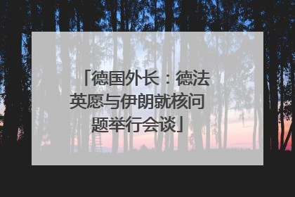 德国外长：德法英愿与伊朗就核问题举行会谈