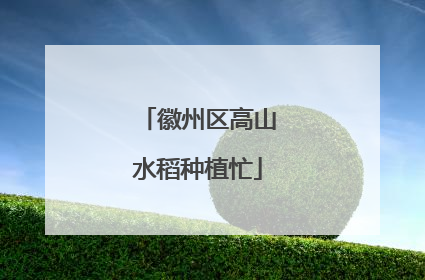 徽州区高山水稻种植忙