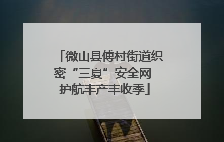 微山县傅村街道织密“三夏”安全网 护航丰产丰收季
