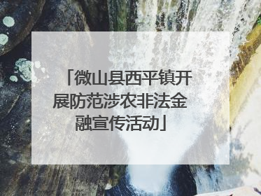 微山县西平镇开展防范涉农非法金融宣传活动