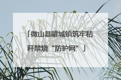 微山县驩城镇筑牢秸秆禁烧“防护网”