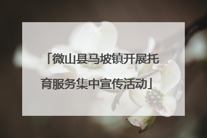 微山县马坡镇开展托育服务集中宣传活动
