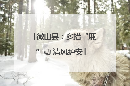 微山县：多措“廉”动 清风护安