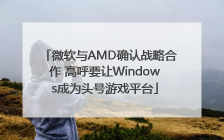 微软与AMD确认战略合作 高呼要让Windows成为头号游戏平台