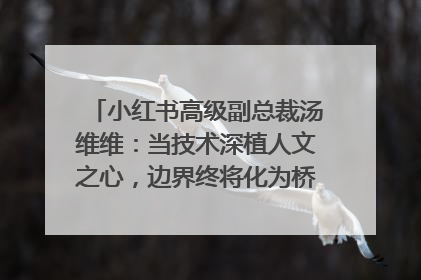 小红书高级副总裁汤维维：当技术深植人文之心，边界终将化为桥梁｜聚焦2025文化强国建设高峰论坛