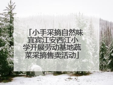 小手采摘自然味 宜宾江安西江小学开展劳动基地蔬菜采摘售卖活动