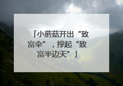 小蘑菇开出“致富伞”，撑起“致富半边天”
