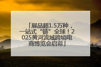展品超1.5万种，一站式“链”全球！2025黄河流域跨境电商博览会启幕