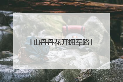 山丹丹花开拥军路