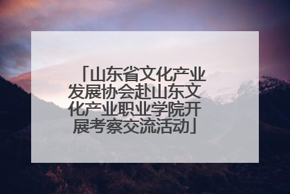 山东省文化产业发展协会赴山东文化产业职业学院开展考察交流活动