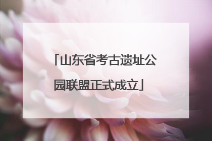 山东省考古遗址公园联盟正式成立