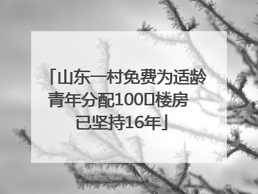 山东一村免费为适龄青年分配100㎡楼房 已坚持16年
