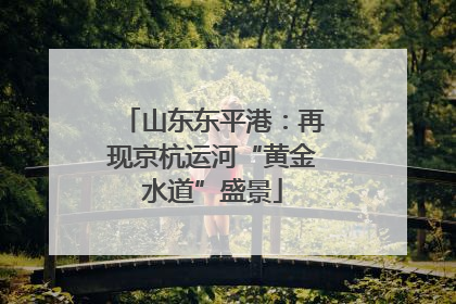 山东东平港：再现京杭运河“黄金水道”盛景