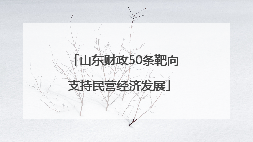 山东财政50条靶向支持民营经济发展