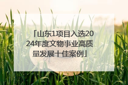 山东1项目入选2024年度文物事业高质量发展十佳案例