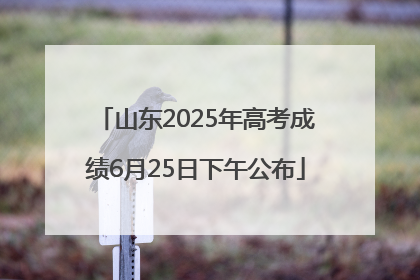 山东2025年高考成绩6月25日下午公布