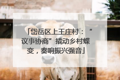 岱岳区上王庄村：“议事协商”撬动乡村蝶变，奏响振兴强音