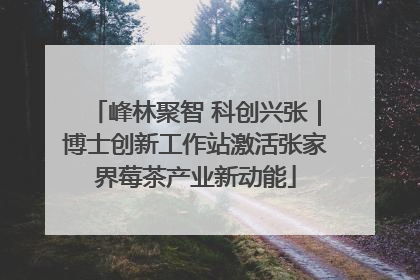 峰林聚智 科创兴张｜博士创新工作站激活张家界莓茶产业新动能