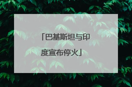 巴基斯坦与印度宣布停火